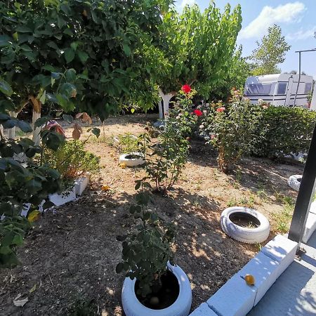 ホテル Green Garden Caravan Agrilia エクステリア 写真