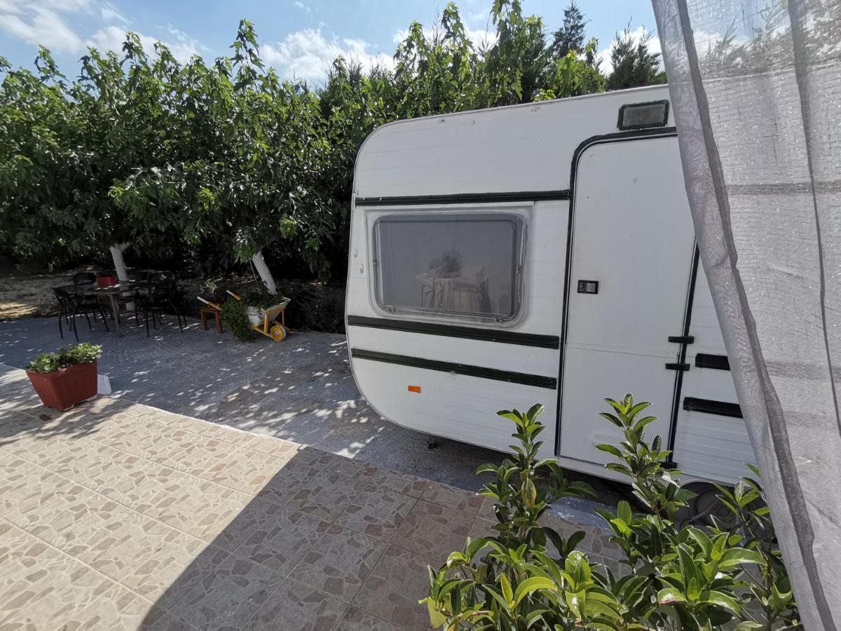 ホテル Green Garden Caravan Agrilia エクステリア 写真